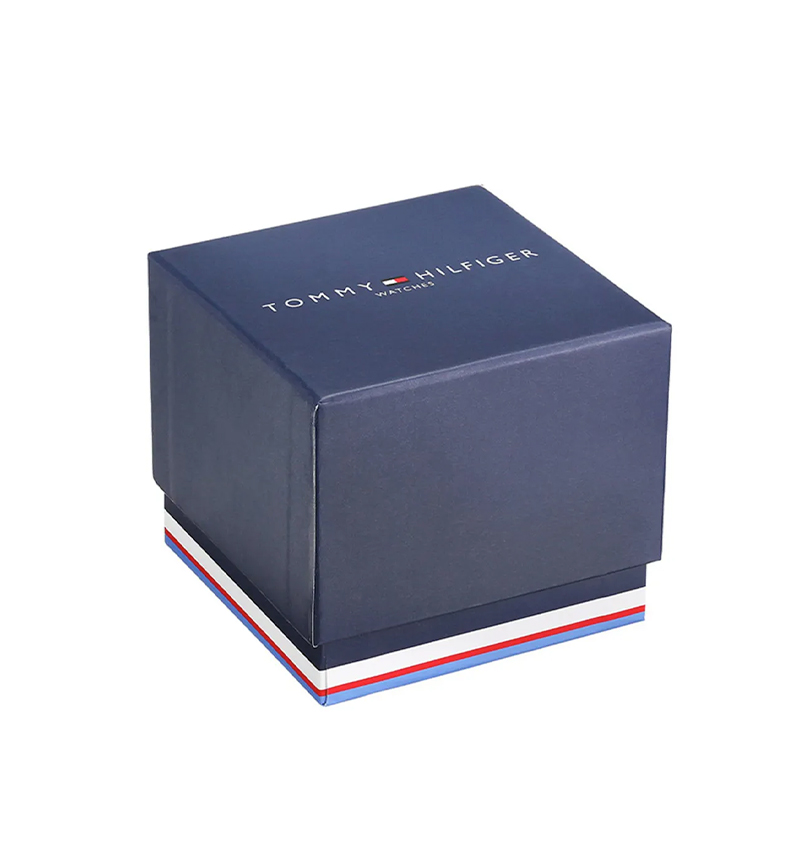 montre homme tommy hilfiger th1710523