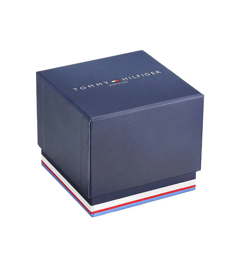 montre homme tommy hilfiger th1710522